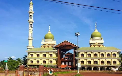 Malik Deenar Juma Masjid image