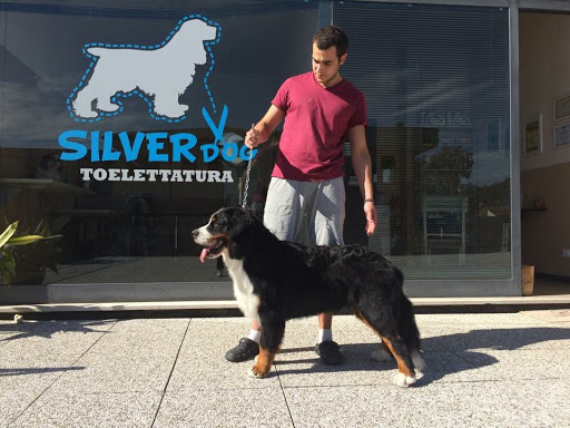 Pensioni per cani e dog hotel a Toelettatura Silver Dog di Luca Bevilacqua