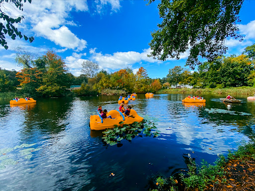 Non-Profit Organization «Jewish Community Center», reviews and photos, 1035 Newfield Ave, Stamford, CT 06905, USA