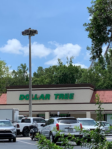 Dollar Store «Dollar Tree», reviews and photos, 1952 State Rd 44, New Smyrna Beach, FL 32168, USA