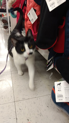 Pet Supply Store «Petco Animal Supplies», reviews and photos, 9687 Kenwood Rd, Blue Ash, OH 45242, USA