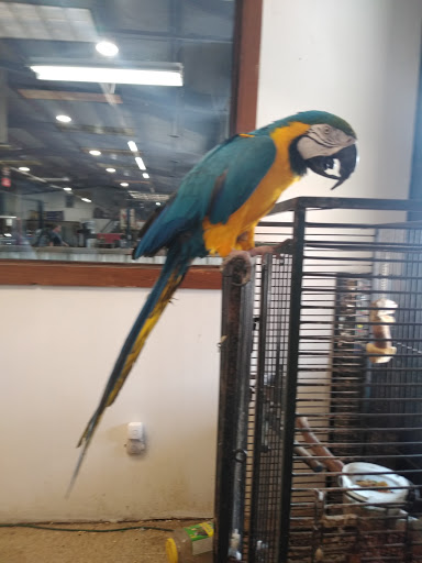 Used Tire Shop «Clark Tire & Auto», reviews and photos, 4539 MO-21, Imperial, MO 63052, USA