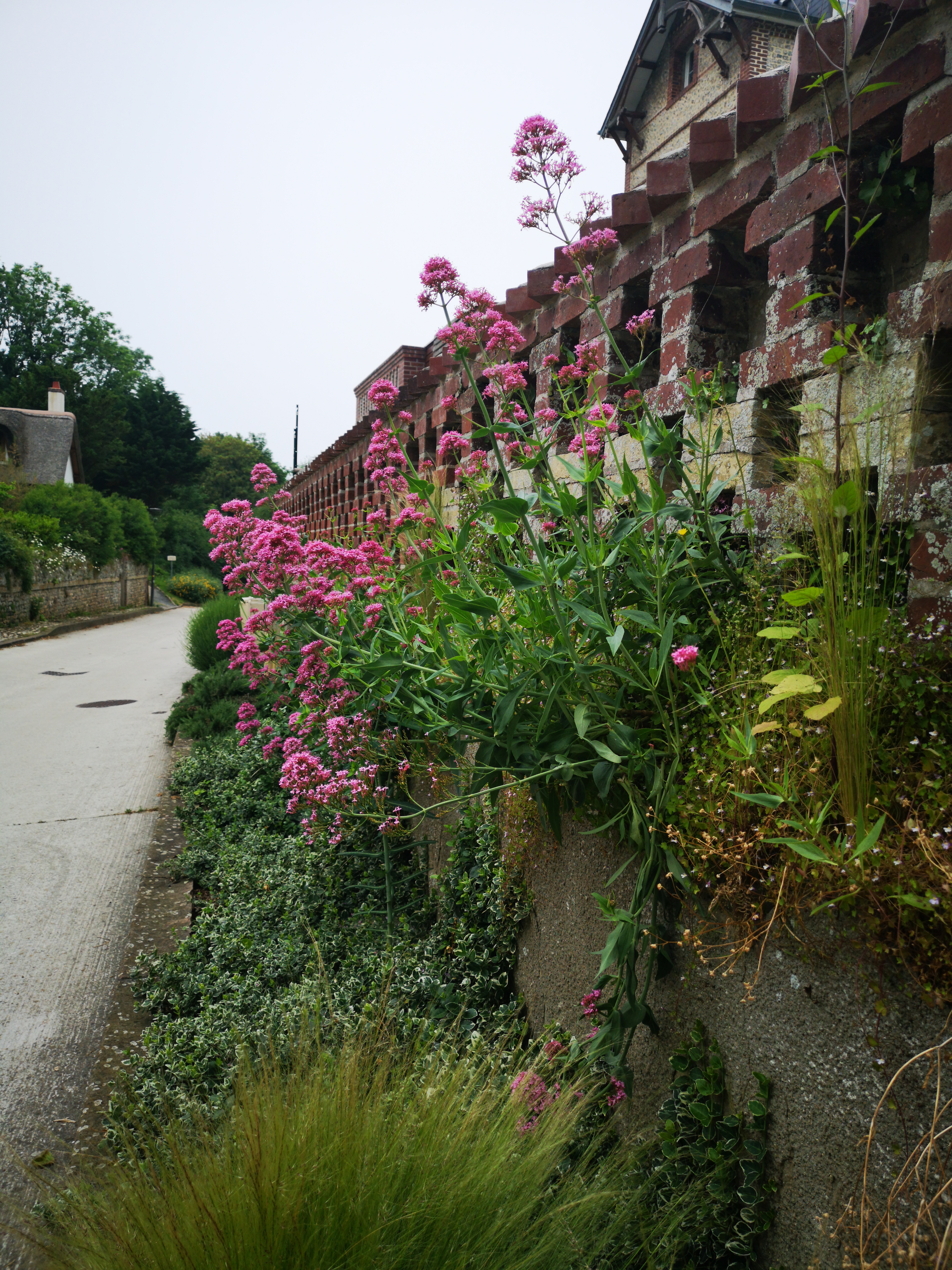Photo n° 6 de l'avis de Graham. fait le 09/06/2018 à 13:57