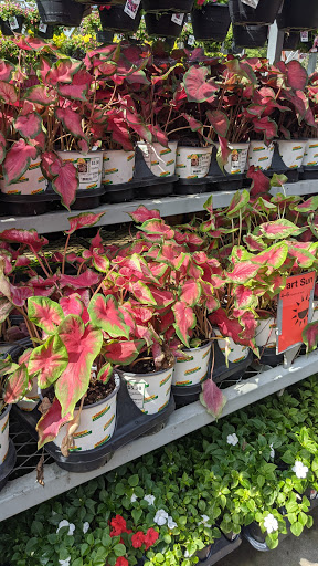 Home Improvement Store «The Home Depot», reviews and photos, 1750 Jonesboro Rd, McDonough, GA 30253, USA