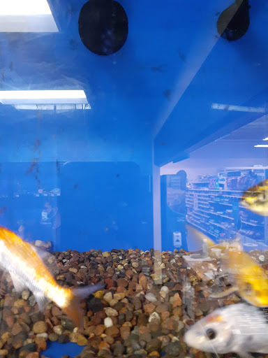 Pet Supply Store «PetSmart», reviews and photos, 1380 Fitzgerald Dr, Pinole, CA 94564, USA