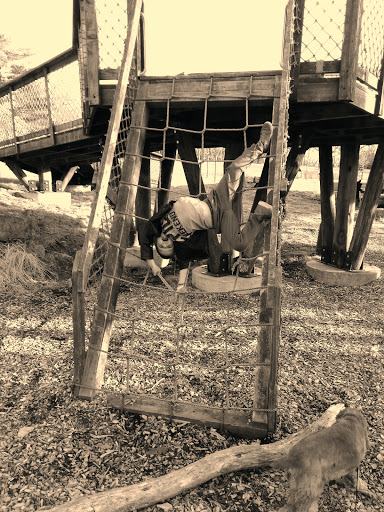 Park «Lippold Park - Fox Valley Park District», reviews and photos, 2001 S River St, Batavia, IL 60510, USA