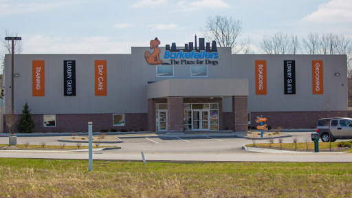 Poodle toy kennels in Indianapolis