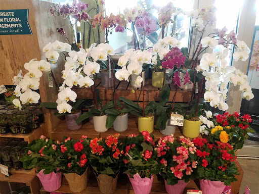 Grocery Store «Whole Foods Market», reviews and photos, 4041 Waller Creek, Highland Village, TX 75077, USA