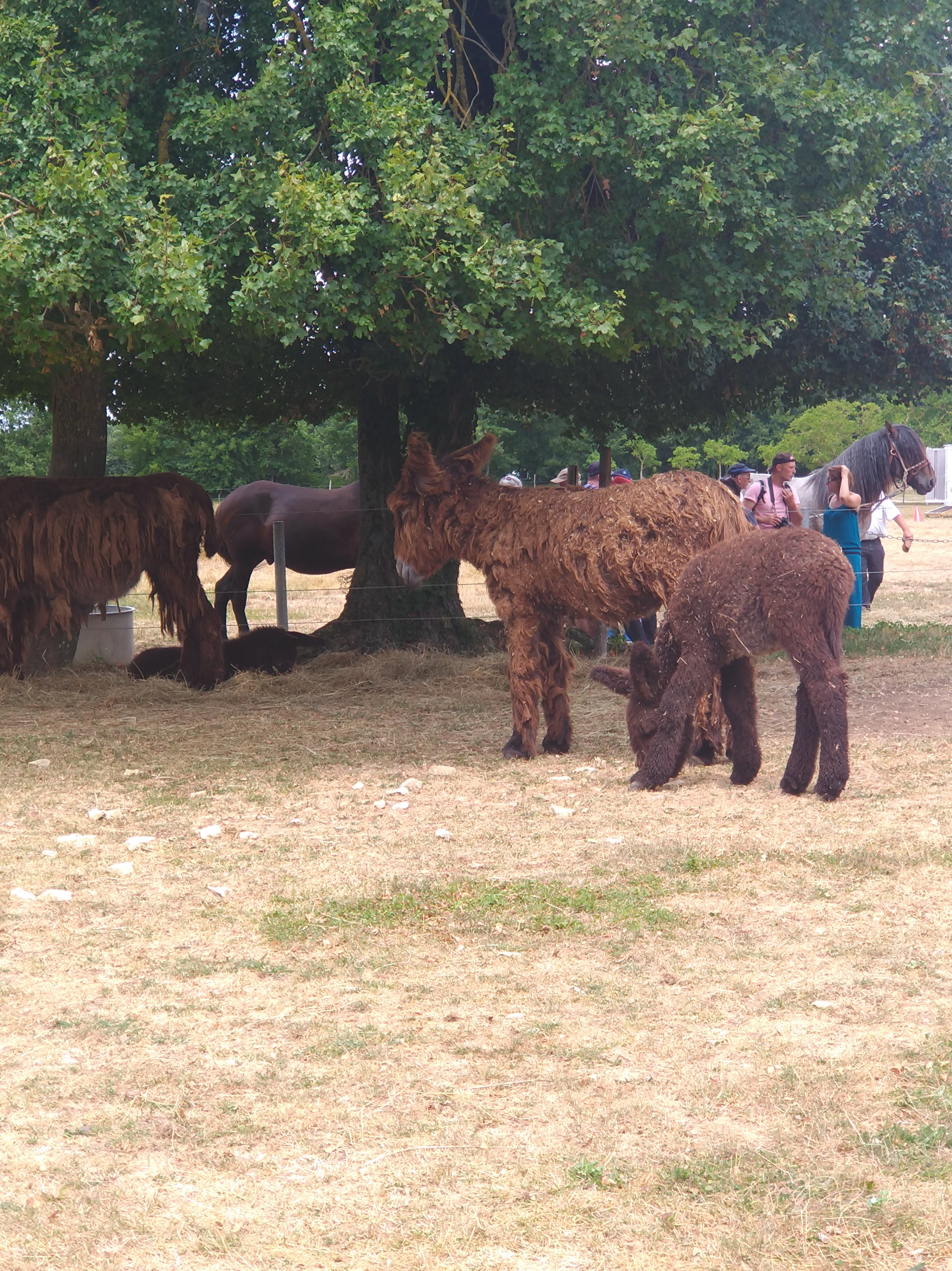 Photo n° 1 de l'avis de Nadège.e fait le 27/07/2018 à 20:55