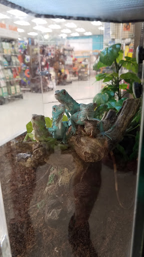 Pet Supply Store «Petco Animal Supplies», reviews and photos, 597 Hebron Rd #2, Heath, OH 43056, USA