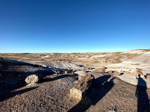 National Forest «Petrified Forest», reviews and photos