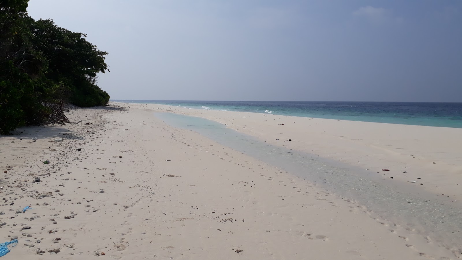 Innamaadhoo Island Beach的照片 具有非常干净级别的清洁度