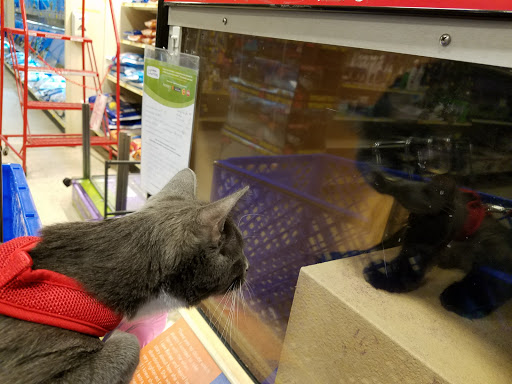 Pet Supply Store «PetSmart», reviews and photos, 4810 1st Ave NE, Cedar Rapids, IA 52402, USA
