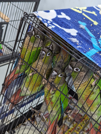 Pet Store «Adventure Birds of Bon Aqua», reviews and photos, 9600 TN-46, Bon Aqua, TN 37025, USA