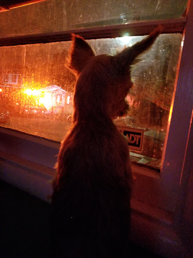 Non-Profit Organization «Goodwill», reviews and photos, 2058 University Ave, Berkeley, CA 94704, USA