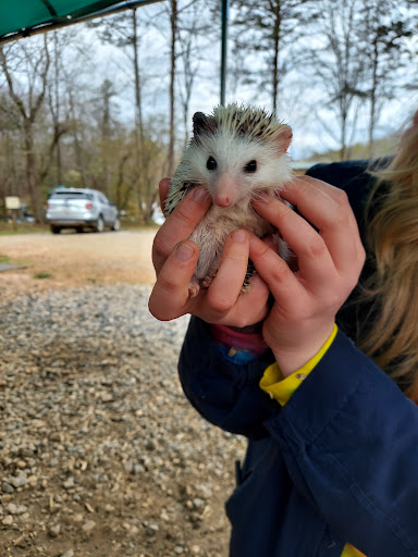 Zoo «North Georgia Zoo & Farm», reviews and photos, 2912 Paradise Valley Rd, Cleveland, GA 30528, USA