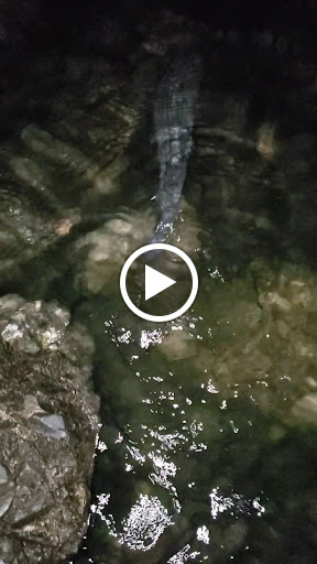 Park «Little Bay Park», reviews and photos, Cross Island Pkwy, Whitestone, NY 11357, USA