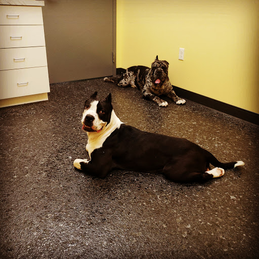 Cleveland Veterinary Clinic image