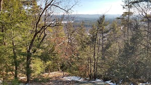 Mt Cresson - photo 1