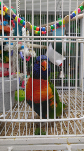 Pet Supply Store «Pet Supplies Plus», reviews and photos, 926 NJ-73, Marlton, NJ 08053, USA