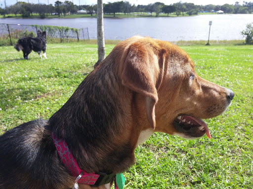 Park «C.B. Smith Park», reviews and photos, 900 N Flamingo Rd, Pembroke Pines, FL 33028, USA