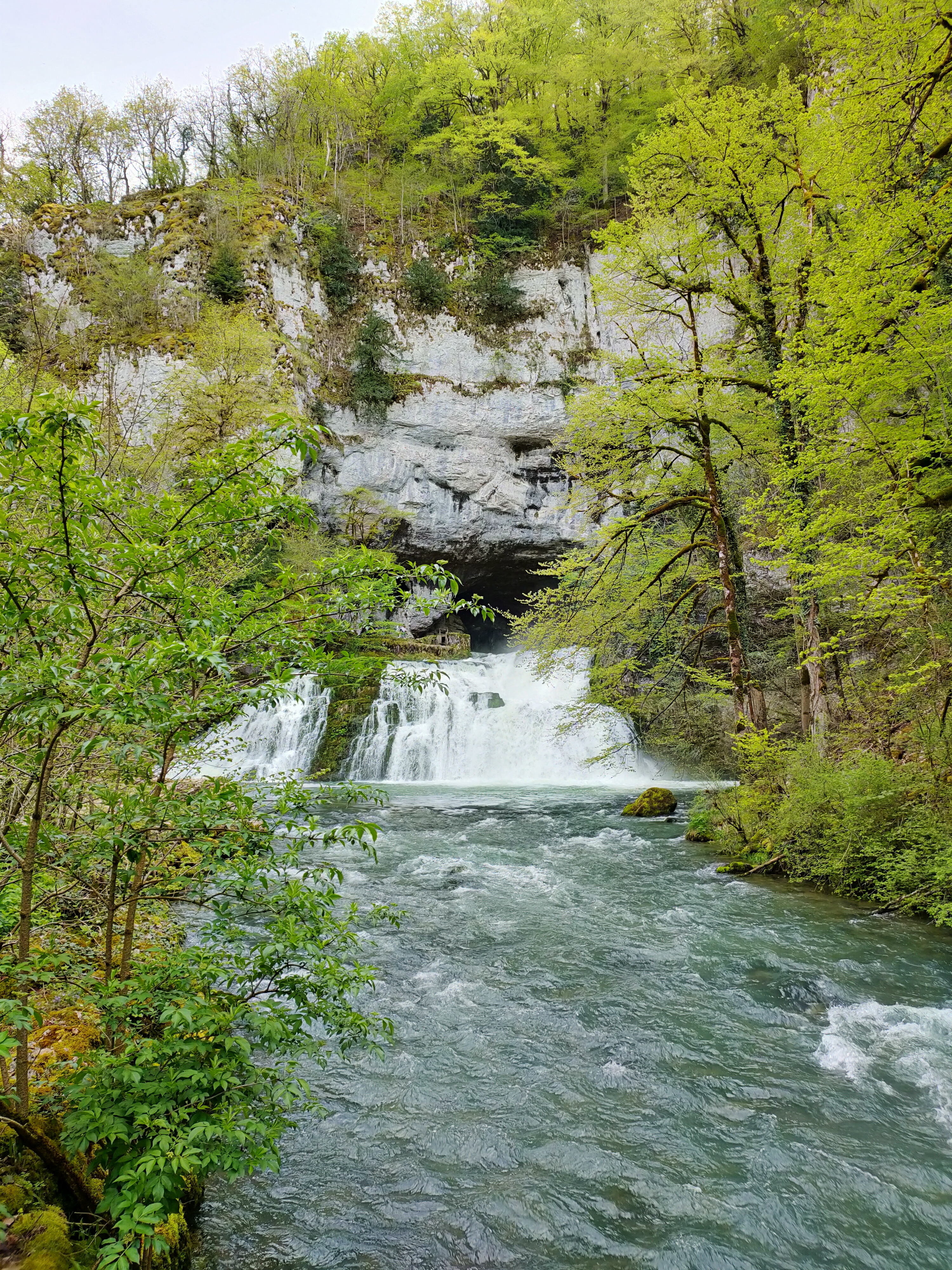 Photo n° 15 de l'avis de Tchov. fait le 29/04/2023 à 17:37