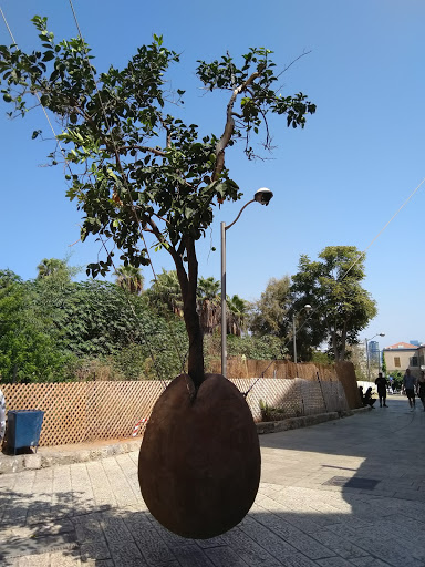 Tree pruning Tel Aviv