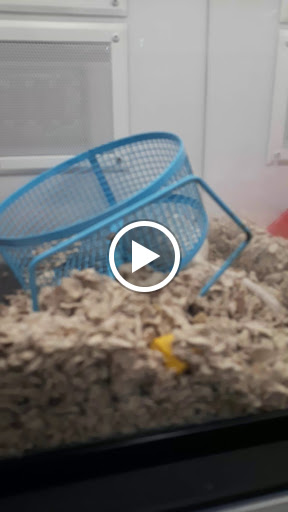 Pet Supply Store «Petco Animal Supplies», reviews and photos, 2140 E Blvd St, Kokomo, IN 46902, USA