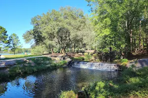 Sesquicentennial State Park image