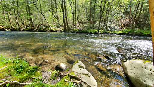 Outdoor Sports Store «Nantahala Outdoor Center Gatlinburg», reviews and photos, 1138 Parkway, Gatlinburg, TN 37738, USA