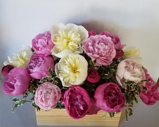 Florist «The JillTed Florist», reviews and photos, 1425 S Ft Harrison Ave, Clearwater, FL 33756, USA