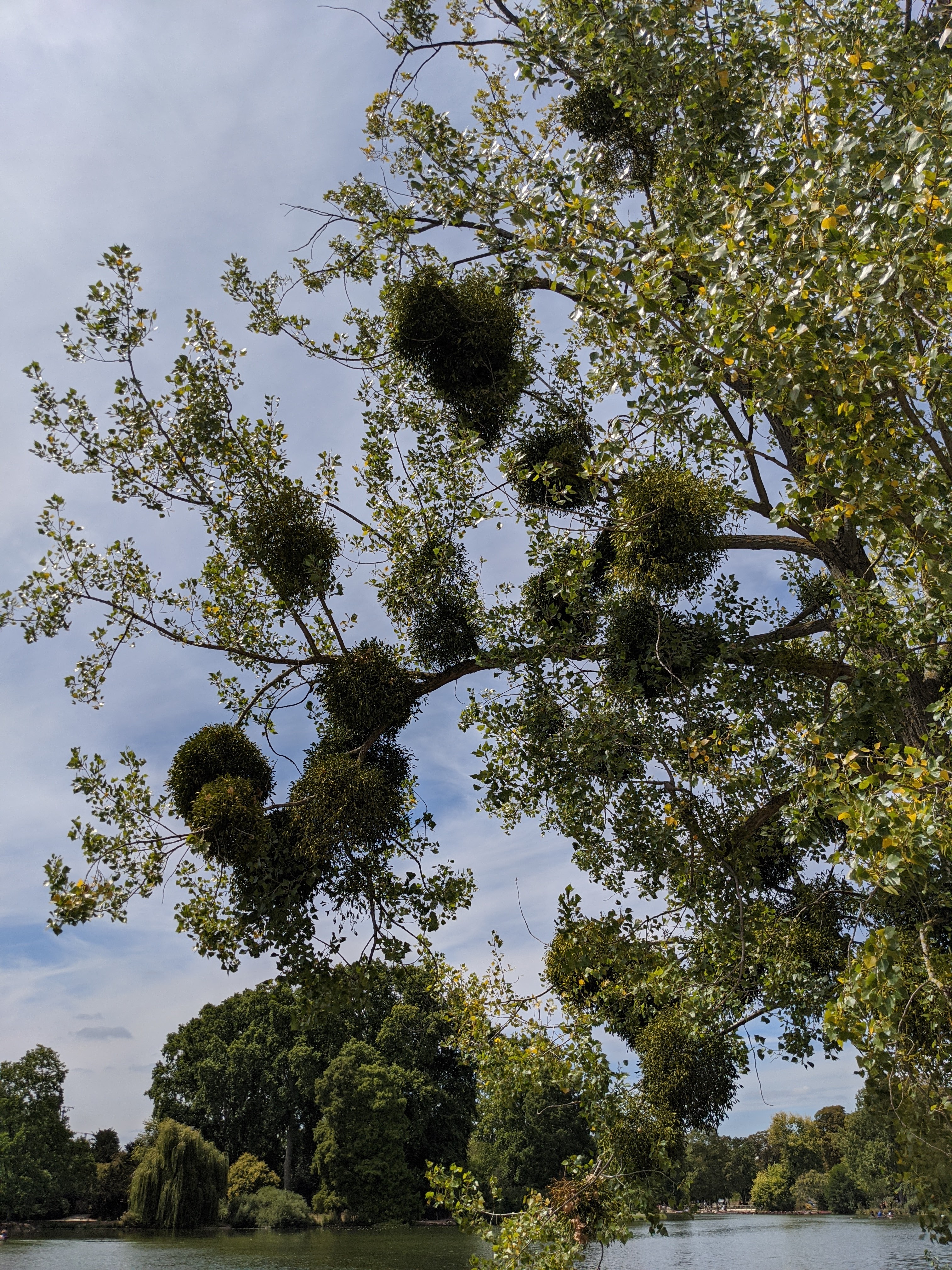 Photo n° 14 de l'avis de Ido.a fait le 02/08/2020 à 14:34