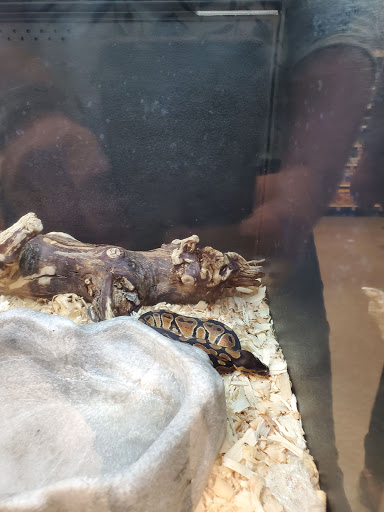 Pet Supply Store «PetSmart», reviews and photos, 6405 Grand Ave, Gurnee, IL 60031, USA