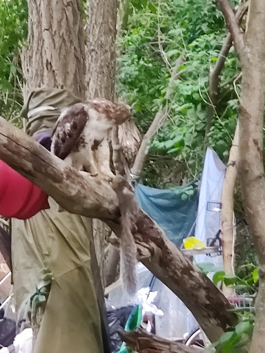 Park «Prospect Hill Park», reviews and photos, 314 Totten Pond Rd, Waltham, MA 02451, USA