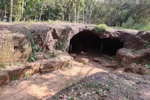 Tipu's Fort image