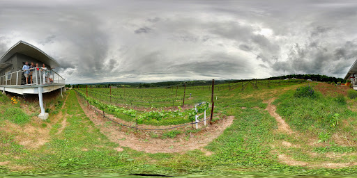 Winery «Raptor Ridge Winery», reviews and photos, 18700 SW Hillsboro Hwy, Newberg, OR 97132, USA