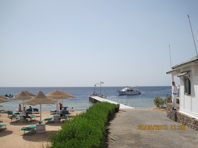 Photos of Sheikh Coast Diving Center
