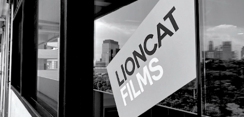 LIONCAT GROUP
