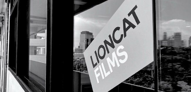 LIONCAT GROUP