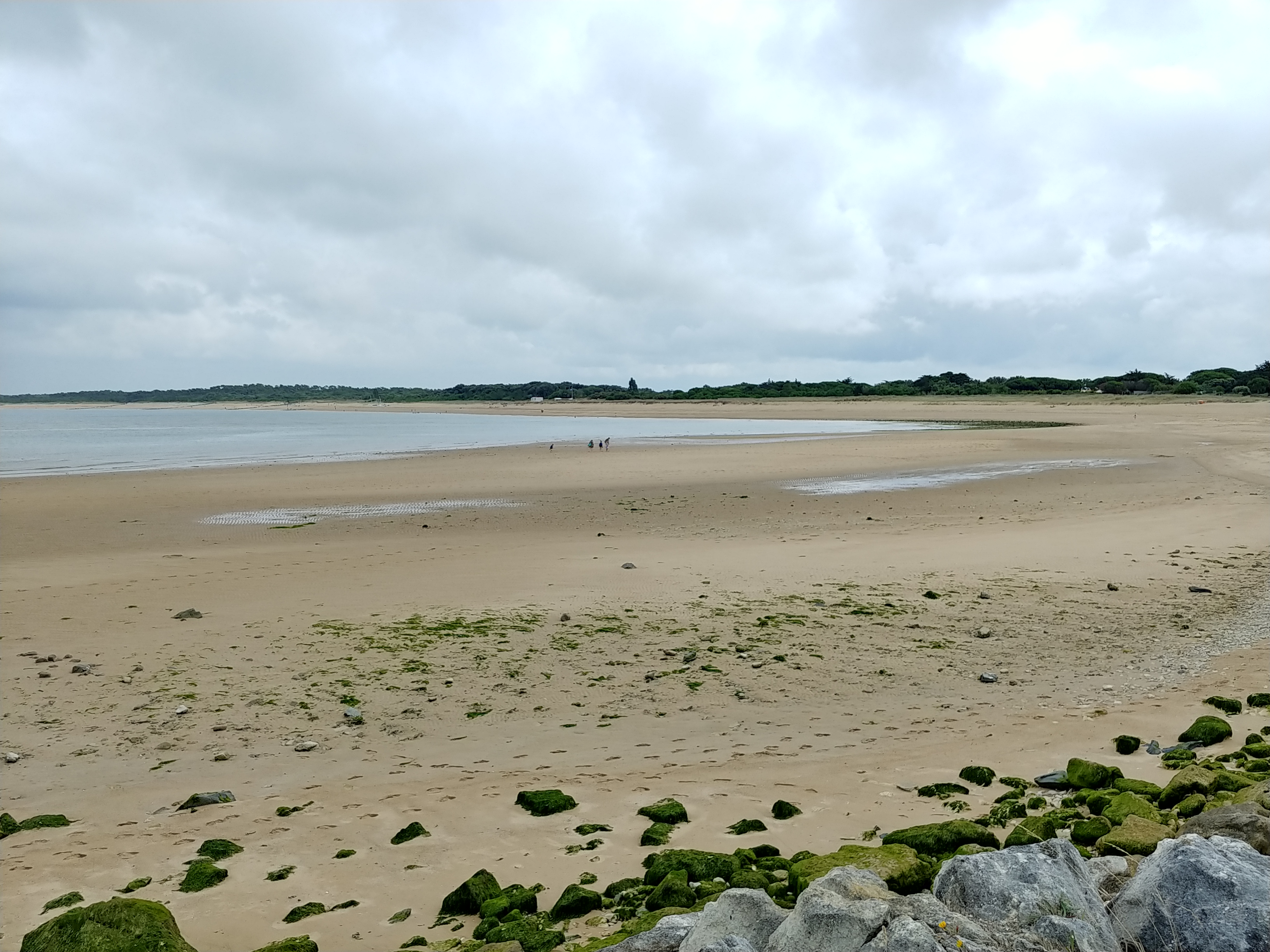 Photo n° 3 de l'avis de Frédéric.e fait le 27/07/2021 à 15:49