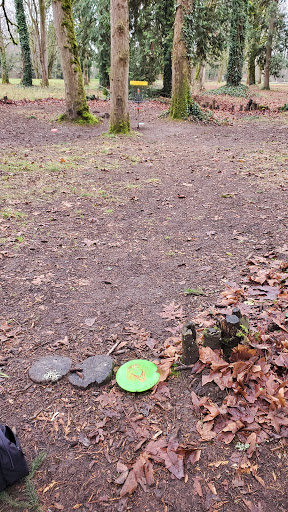 Golf Course «Riverside Disc Golf Course», reviews and photos, 7926 Riverside Rd E, Sumner, WA 98390, USA