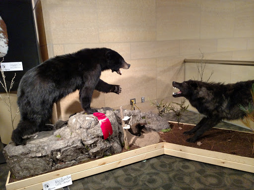 Performing Arts Theater «DeVos Performance Hall», reviews and photos, 303 Monroe Ave NW, Grand Rapids, MI 49503, USA