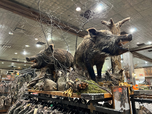 Sporting Goods Store «Bass Pro Shops», reviews and photos