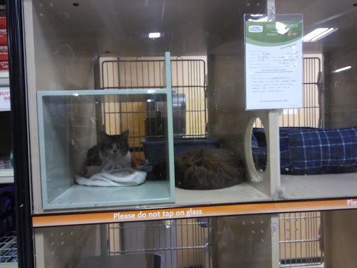 Pet Supply Store «PetSmart», reviews and photos, 3520 S El Camino Real, San Mateo, CA 94403, USA