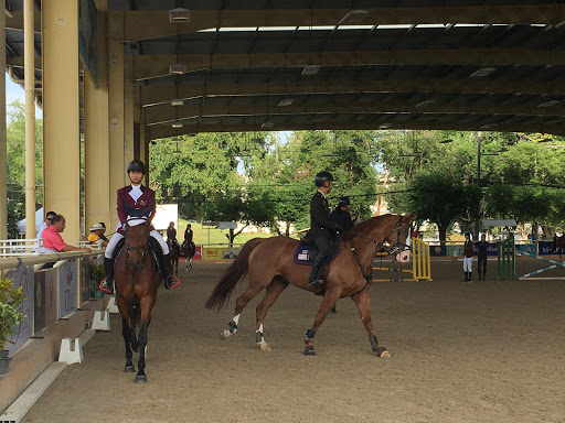 The Royal Horse guard riding club