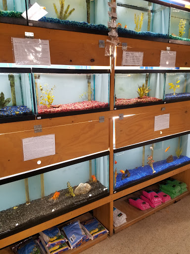 Tropical Fish Store «Pet Friendly Inc», reviews and photos, 845 Manitou Rd, Hilton, NY 14468, USA