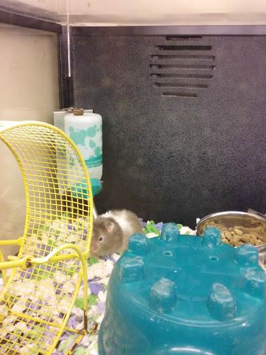 Pet Supply Store «PetSmart», reviews and photos, 2818 S Louise Ave, Sioux Falls, SD 57106, USA