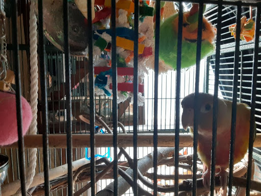 Pet Supply Store «Pet Supplies Plus», reviews and photos, 101 Sutton Ave, Oxford, MA 01540, USA