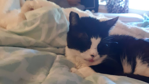 Thrift Store «Goodwill», reviews and photos, 390 Plaza Dr, Folsom, CA 95630, USA