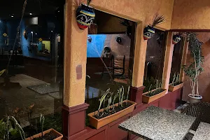 Javi's Mexican Grill image